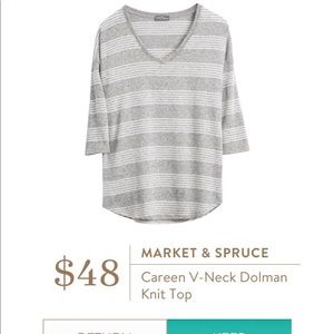 Market & Spruce careen v-neck dolman knit top